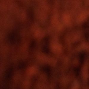 Meet your Posher, Greg